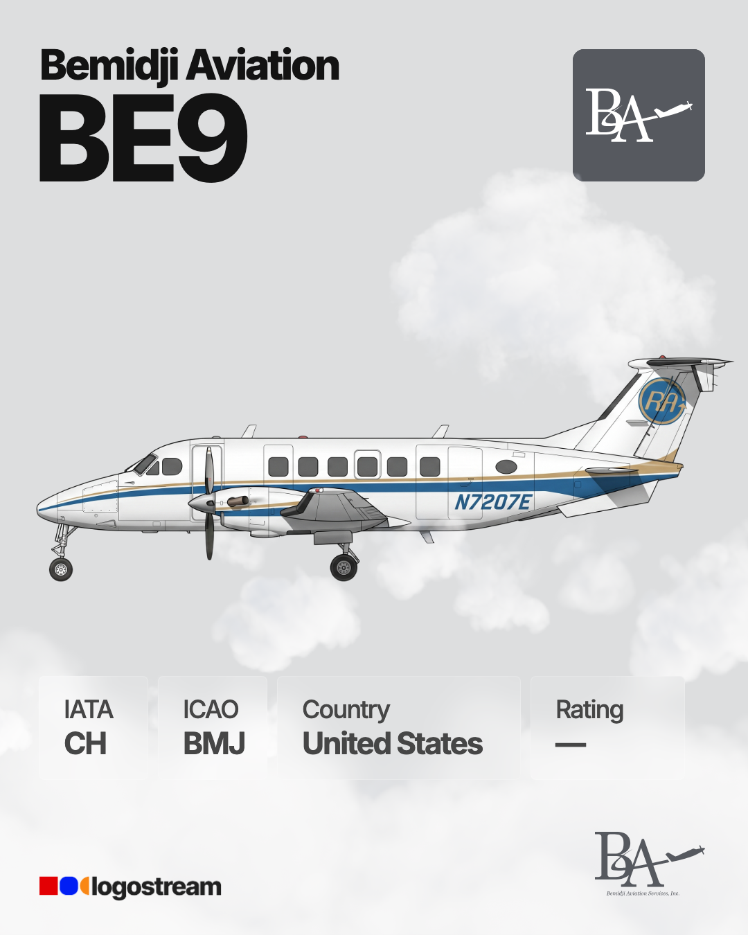 Bemidji Airlines (BMJ) Airline Logo – Airline Logo API Bemidji Airlines airline logo – BMJ brand asset