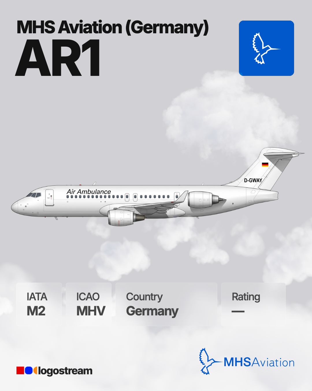 MHS Aviation (Germany) aircraft livery – MHV airline logo on aircraft