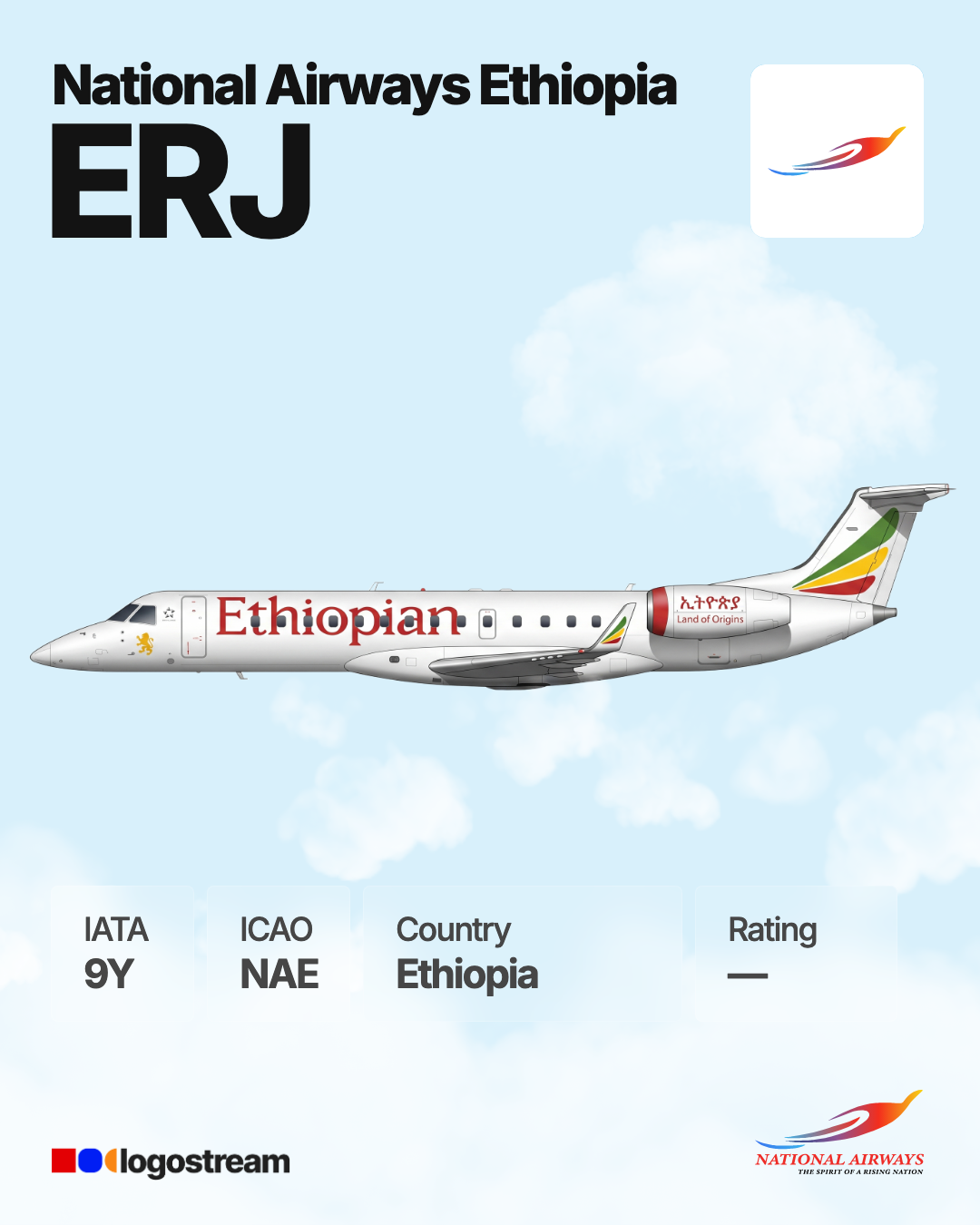 Nations Air aircraft livery – NAE airline logo on aircraft