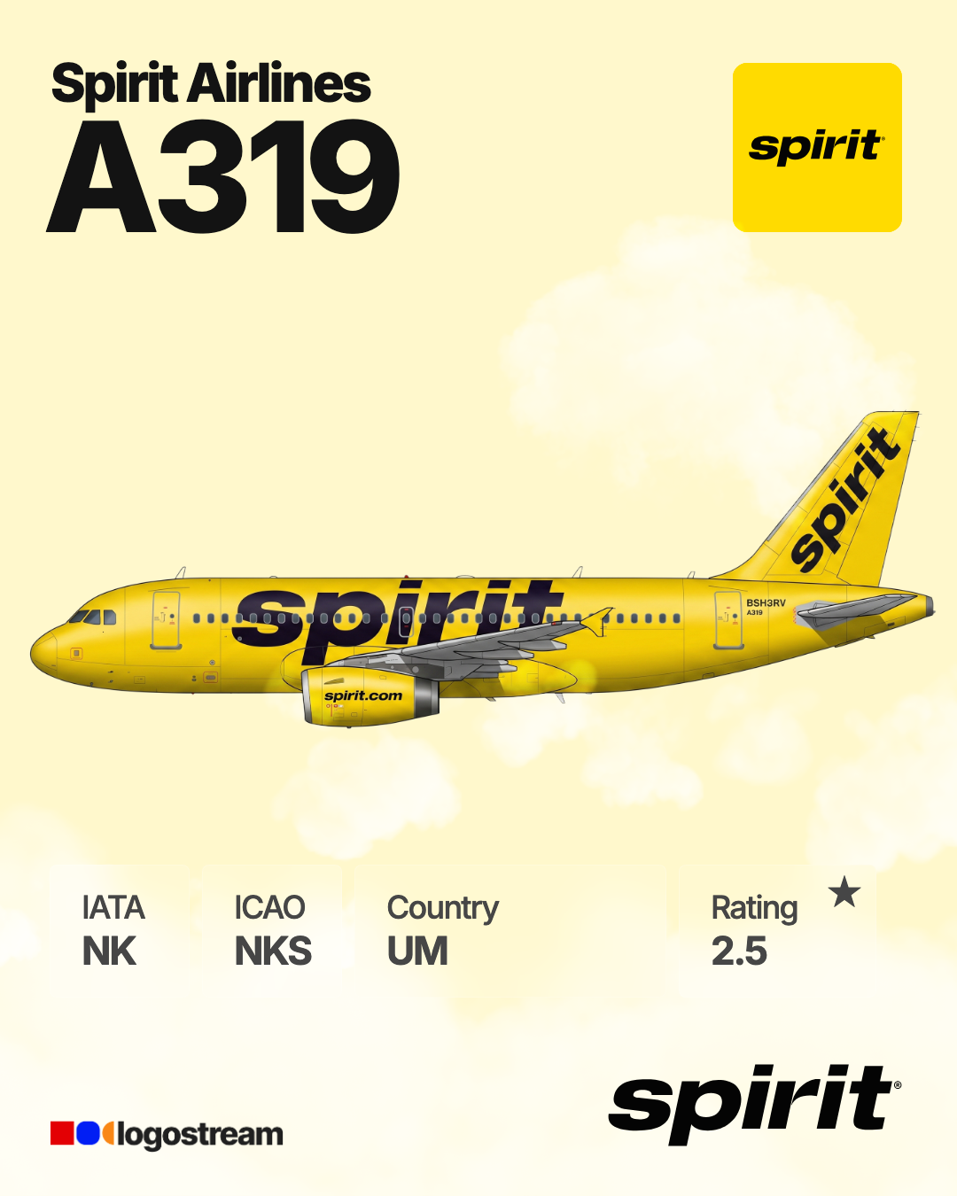 Spirit Airlines aircraft livery – NKS airline logo on aircraft