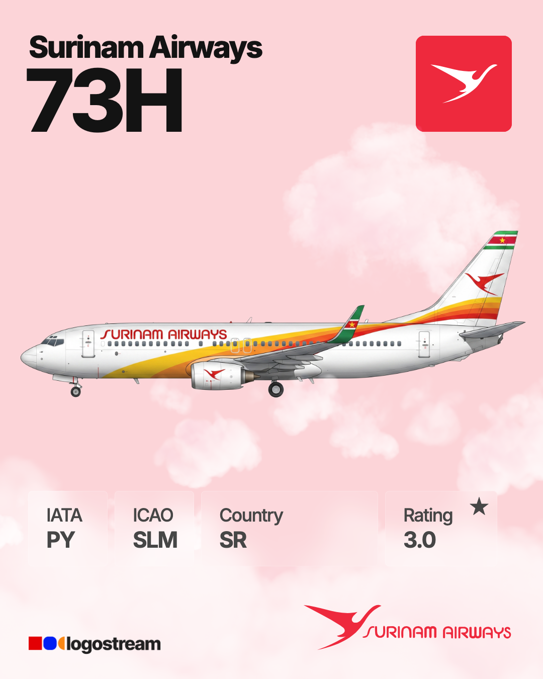 Surinam Airways aircraft livery – SLM airline logo on aircraft