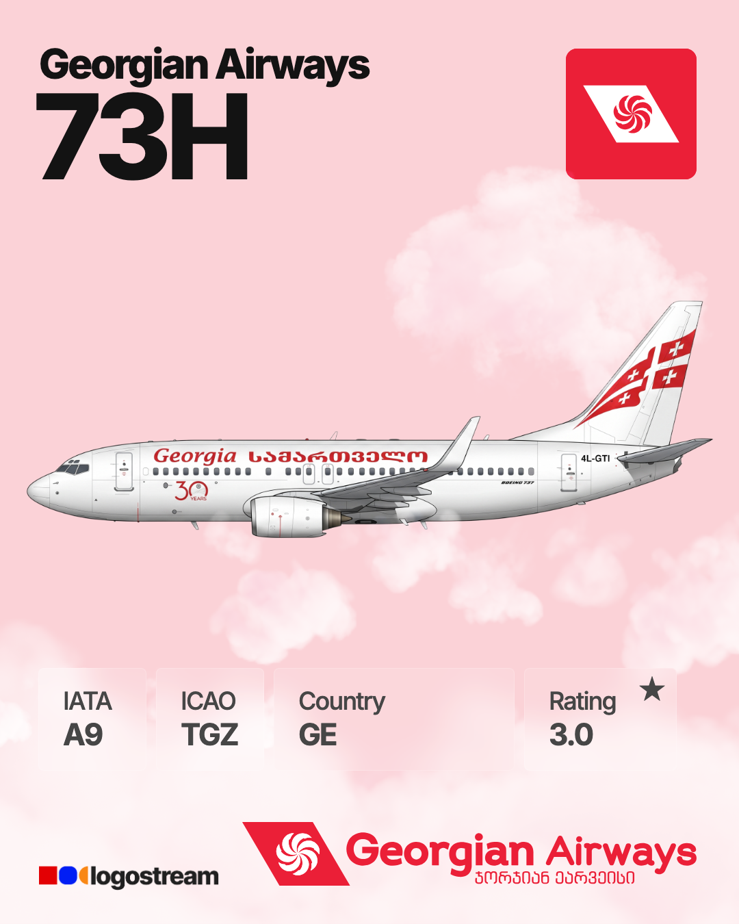 Georgian Airways aircraft livery – TGZ airline logo on aircraft