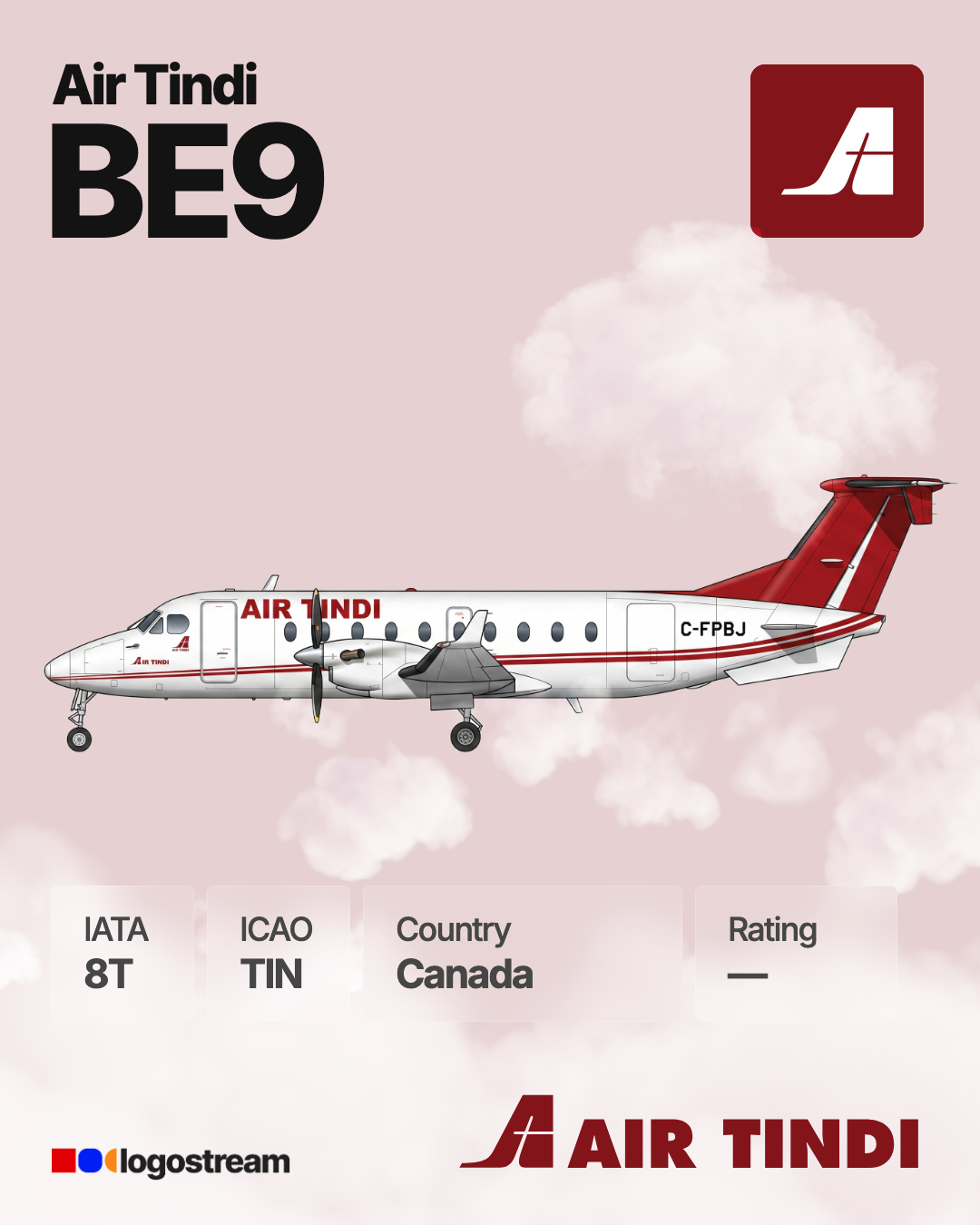 Air Tindi (TIN) Airline Logo – Airline Logo API Air Tindi airline logo – TIN brand asset